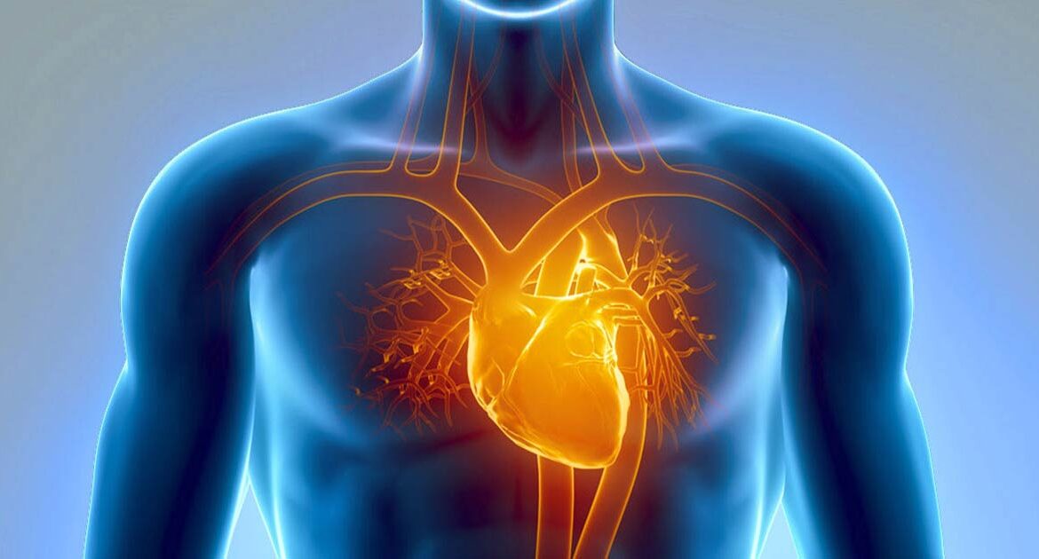 Exploring common Heart Diseases among patients